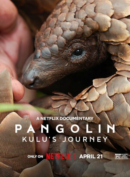 دانلود مستند سفر پنگولینی به اسم کولو Pangolin: Kulus Journey 2025