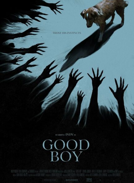 دانلود فیلم پسر خوب Good Boy 2025