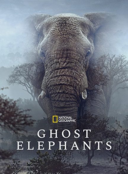 دانلود مستند فیل های شبح گونه Ghost Elephants 2025
