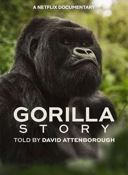 دانلود فیلم داستان یک گوریل 2026 A Gorilla Story: Told by David Attenborough