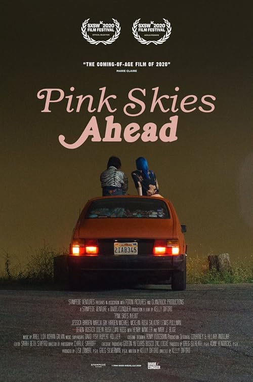 دانلود فیلم آسمان صورتی پیش رو Pink Skies Ahead 2020