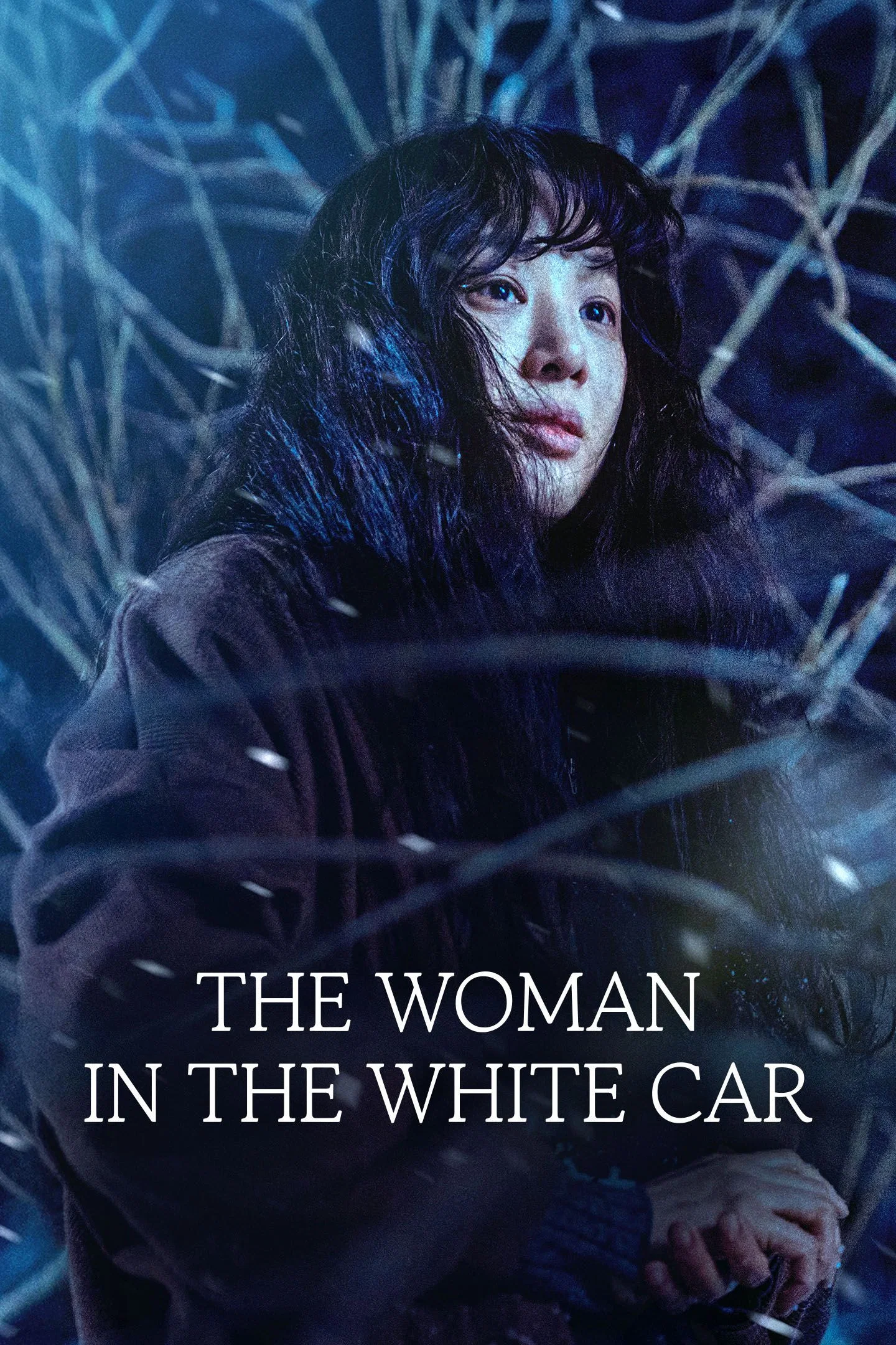 دانلود فیلم زن سوار بر ماشین سفید The Woman in the White Car 2022
