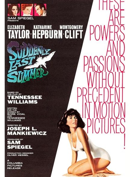 دانلود فیلم ناگهان، تابستان پیش Suddenly, Last Summer 1959