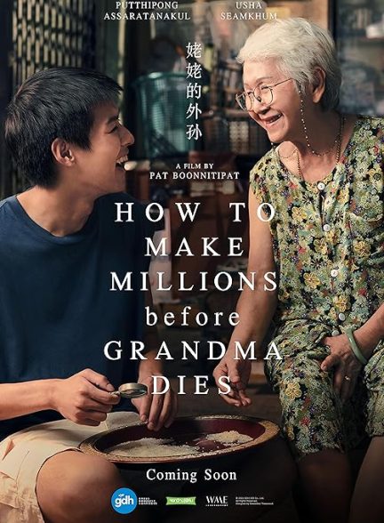 دانلود فیلم چگونه قبل از مرگ مادربزرگ میلیونر شویم How to Make Millions Before Grandma Dies 2024