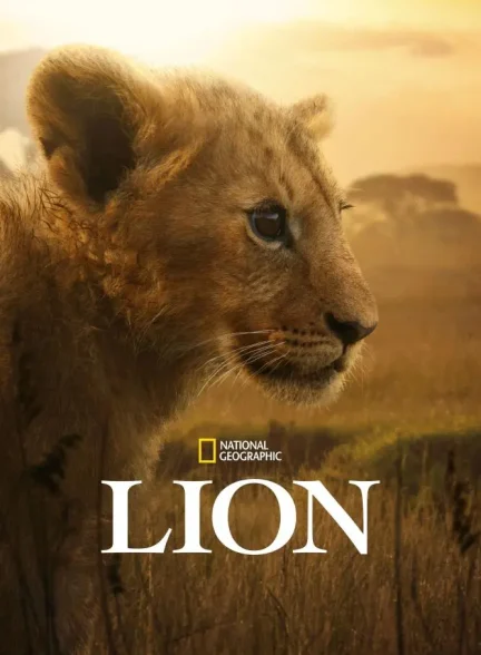 دانلود مستند شیر 2026 Lion