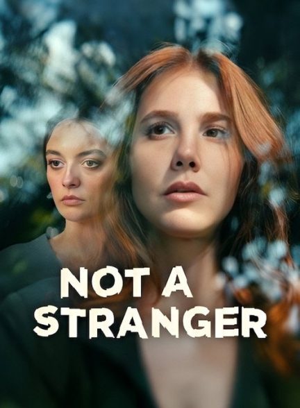 دانلود سریال غریبه نیست 2026 Not a Stranger