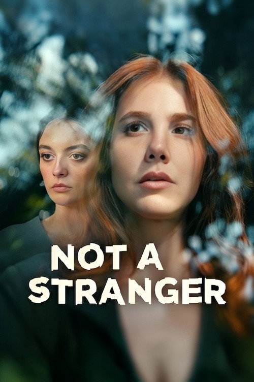 دانلود سریال غریبه نیست 2026 Not a Stranger