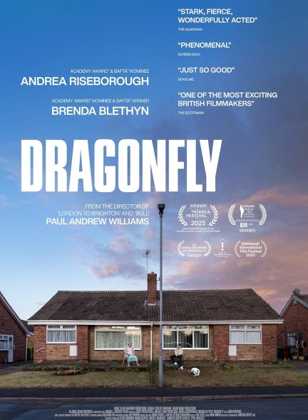 دانلود فیلم سنجاقک Dragonfly 2025