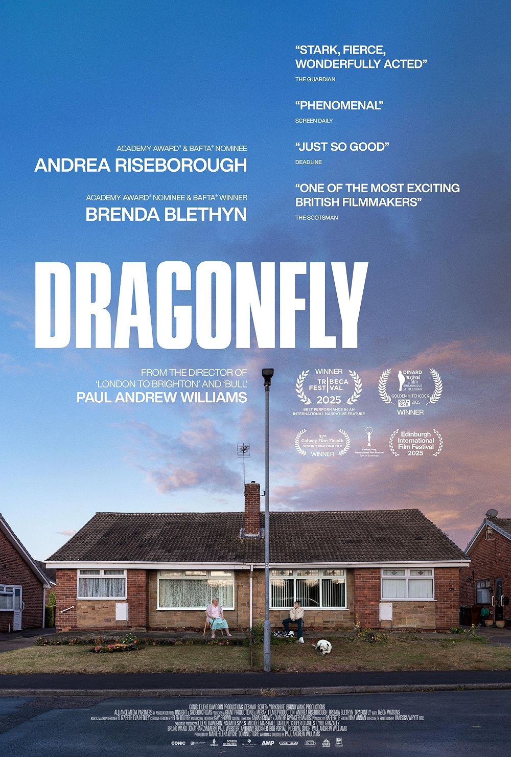 دانلود فیلم سنجاقک Dragonfly 2025